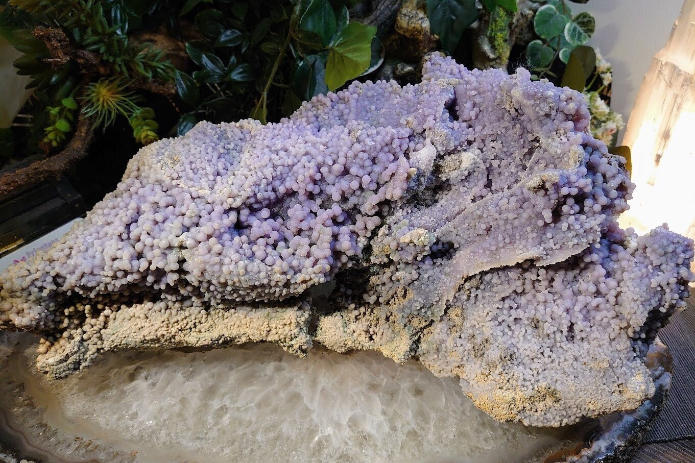 Massive "The Monster" Grape Agate Cluster with Formations on All Sides from Sulawesi Island, Indonesia / 6,595g / Collection / Large Cabinet