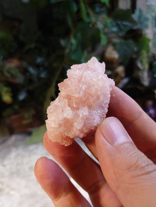 Natural Pink Halite Crystal from California, USA for Crystal Healing / 26.85g / Salt Formation / Altar and  Home Decor / Collection