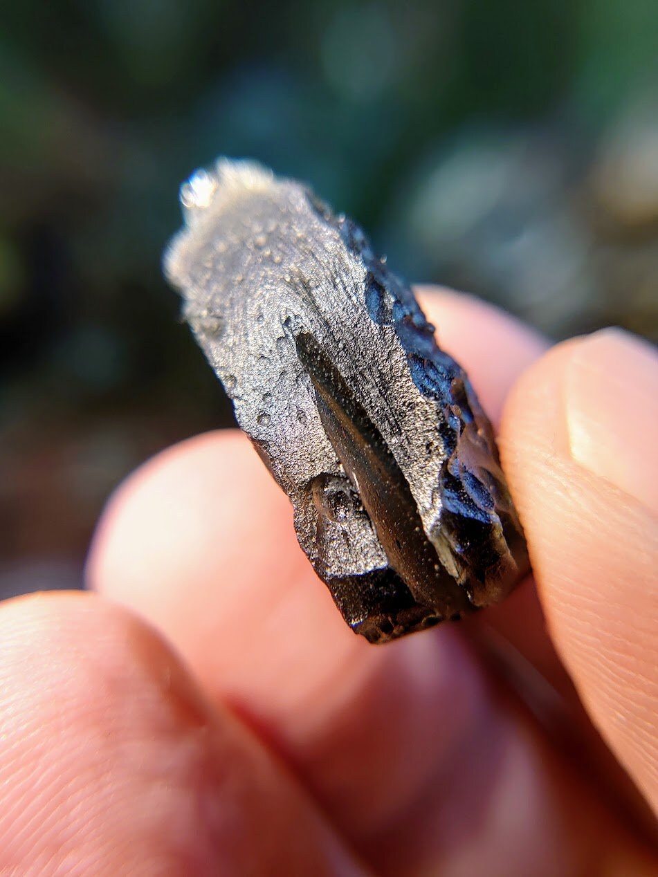 34ct Moldavite Crystal from Nesměň, Ločenice, České Budějovice District, South Bohemian Region, Czech Republic for Collection / Tektite
