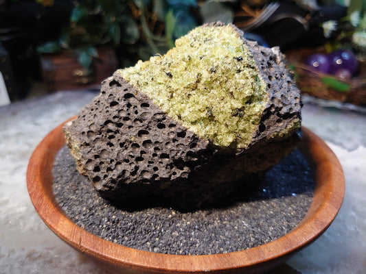 Peridot Druzy with Black Tourmaline on Basalt from Arizona for Home and Altar Decor / 528g / Meditation / Reiki / Gifting / Collection