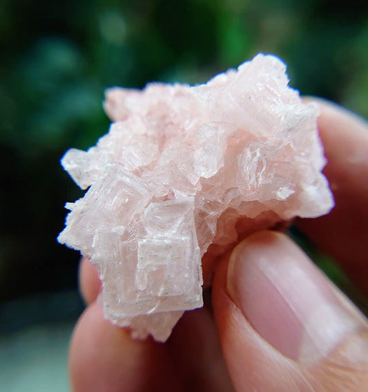 Natural Pink Halite Crystal from California, USA for Crystal Healing / 21.97g / Salt Formation / Altar and  Home Decor / Collection