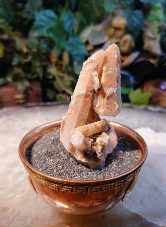 Witch Finger Quartz Cluster from Boekenhouthoek, Mpumalanga, South Africa for Home and Altar Decor / 74.86g / Reiki / Collection
