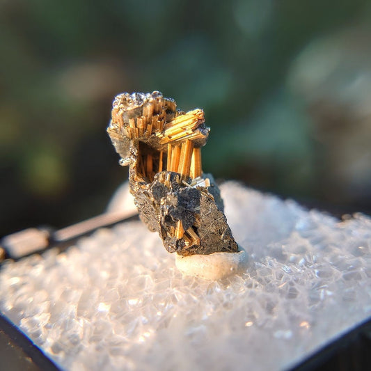 8.85ct Golden Rutile with Hematite from Novo Horizonte, Bahia, Brazil / Thumbnail Size / Collection / Whaaaaaat?!