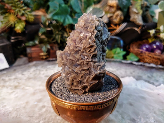 Grey/Purple Fluorite Cluster from Rucksack Cleft, Salzburg, Austria / 231g / Collection / Small Cabinet Size