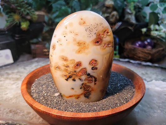 3.75" Dendritic Agate Self Standing Free Form from Madagascar for Crystal Healing / Reiki / Meditation / 276g / Home and Altar Decoration