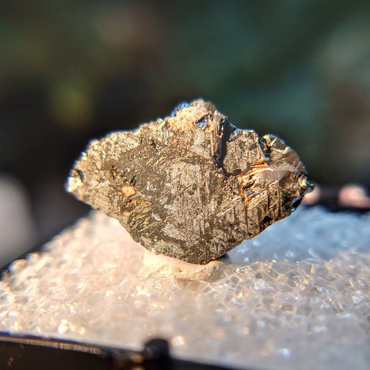 14.65ct Hematite Blade with Exposed Golden Rutile from Novo Horizonte, Bahia, Brazil / Thumbnail Size / Collection / Whaaaaaat?!