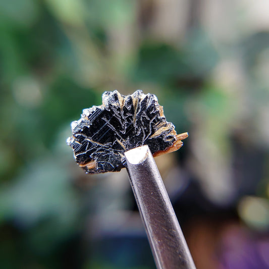 3.00ct Hematite Blade with Exposed Golden Rutile from Novo Horizonte, Bahia, Brazil / Thumbnail Size / Collection / Whaaaaaat?!