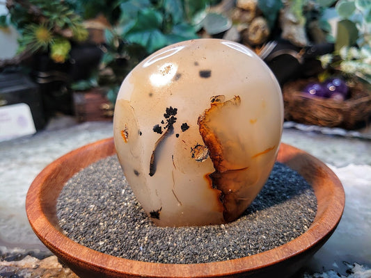 3.25" Dendritic Agate Self Standing Free Form from Madagascar for Crystal Healing / Reiki / Meditation / 264g / Home and Altar Decoration