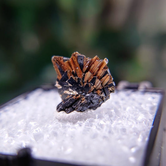 6.55ct Hematite Blade with Exposed Golden Rutile from Novo Horizonte, Bahia, Brazil / Thumbnail Size / Collection / Whaaaaaat?!