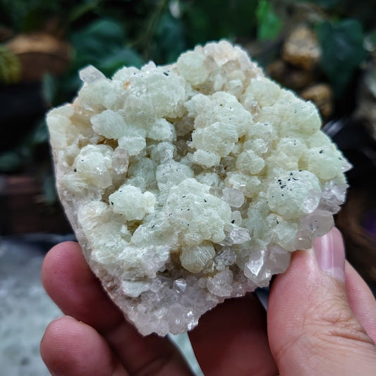 Prehnite with Clear Quartz and Babingtonite From Yunnan Province, China / 190g / Miniature / Desk Decor / Meditation / Collection