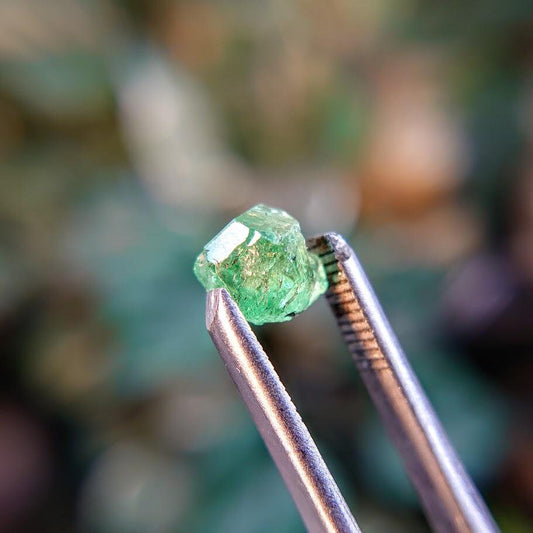 2.50ct Tsavorite Garnet Gemstone from Merelani Hills, Tanzania / Thumbnail Size / Plastic Perky Box / Collection / Emerald Green / Grossular