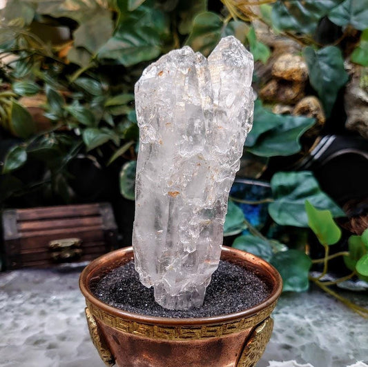4.75" Elestial Clear Quartz Scepter Cluster from Minas Gerais, Brazil for Crystal Healing / 118.24g / Meditation / Altar Decor
