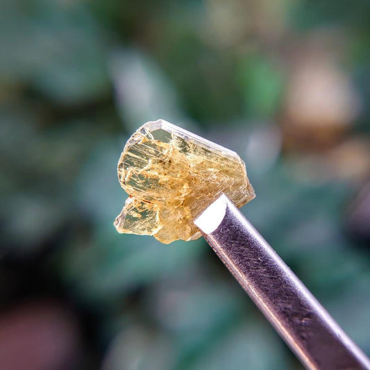 2.40ct Chrysoberyl Gemstone from Ambatondrazaka, Madagascar for Crystal Healing/ Collection/ 0.50g / Jewelry Crafting / Thumbnail Size Class