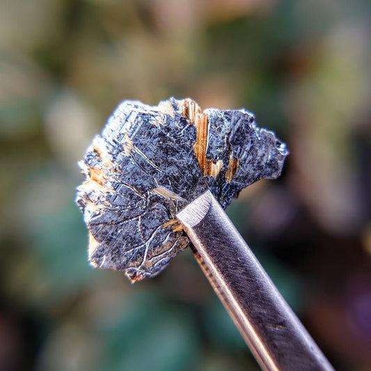 9.05ct Hematite Blade with Exposed Golden Rutile from Novo Horizonte, Bahia, Brazil / Thumbnail Size / Collection / Whaaaaaat?!