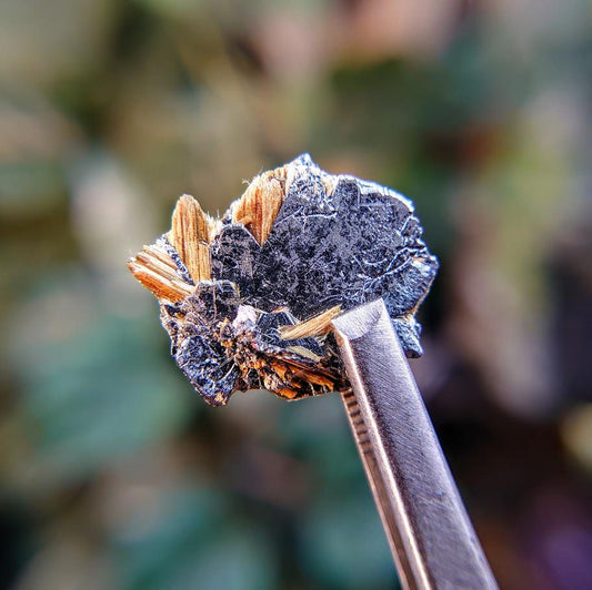 8.40ct Hematite Blade with Exposed Golden Rutile from Novo Horizonte, Bahia, Brazil / Thumbnail Size / Collection / Whaaaaaat?!