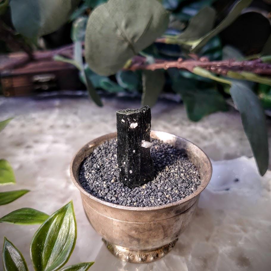 1.25" Glossy Black Aegirine Crystal Rod from Malawi, Africa for Crystal Healing / 6.64g / Home & Altar Decor