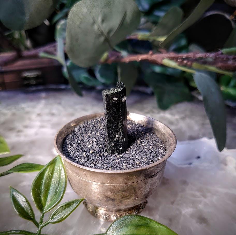 1.25" Glossy Black Aegirine Crystal Rod from Malawi, Africa for Crystal Healing / 6.64g / Home & Altar Decor