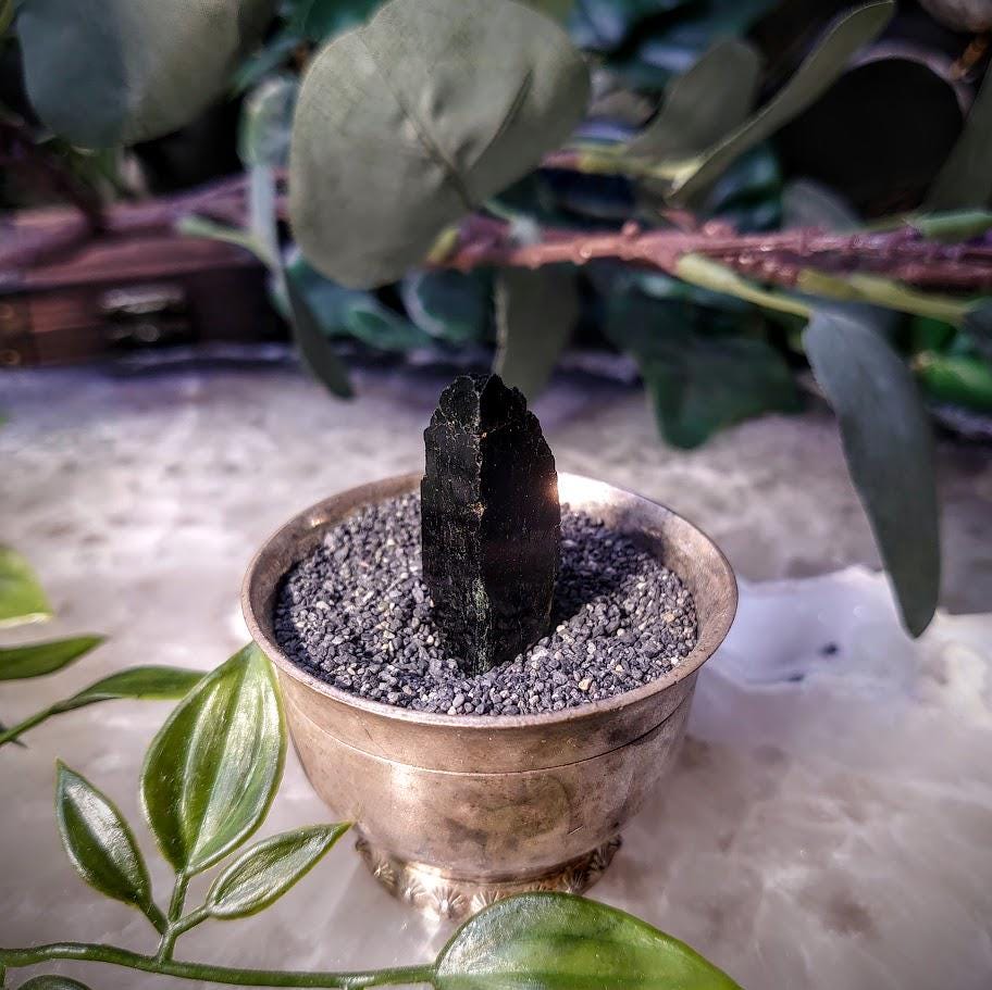 1.5" Glossy Black Aegirine Crystal from Malawi, Africa for Crystal Healing / 9.46g / Home & Altar Decor