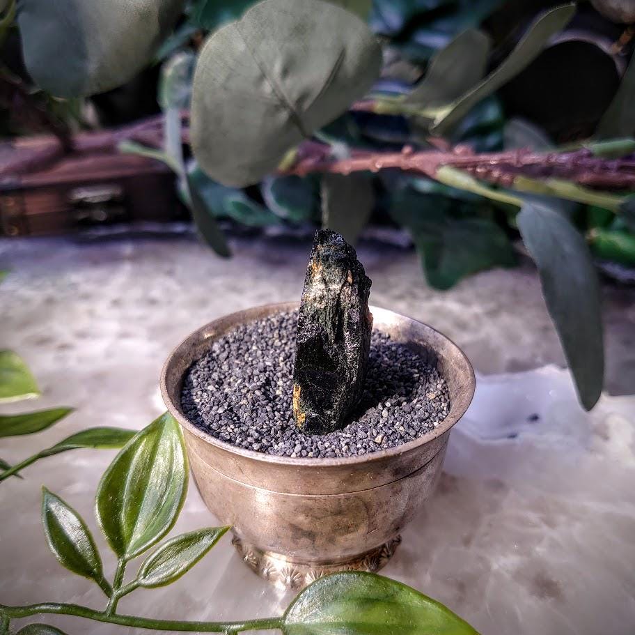 1.5" Glossy Black Aegirine Crystal from Malawi, Africa for Crystal Healing / 9.46g / Home & Altar Decor