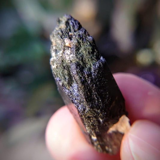 1.5" Glossy Black Aegirine Crystal from Malawi, Africa for Crystal Healing / 9.46g / Home & Altar Decor