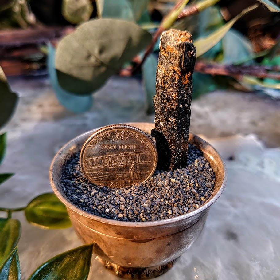 2" Glossy Black Aegirine Crystal Rod from Malawi, Africa for Crystal Healing / 9.52g / Home and Altar Decor / Negative Protection