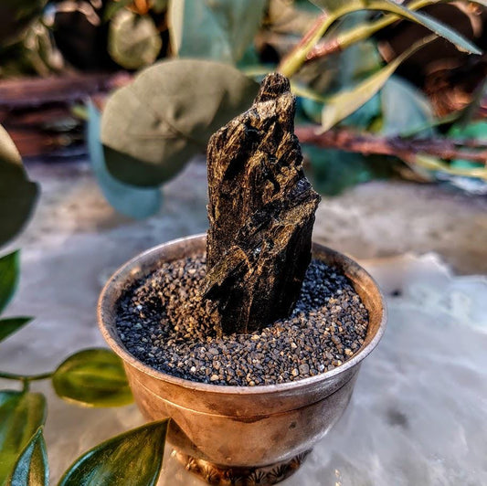 2.25" Glossy Black Aegirine Crystal Rod from Malawi, Africa for Crystal Healing / 23.40g / Home and Altar Decor / Negative Protection