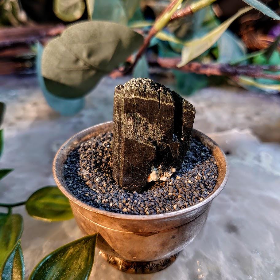 1.25" Glossy Black Aegirine Crystal Rod from Malawi, Africa for Crystal Healing / 30.47g / Home & Altar Decor