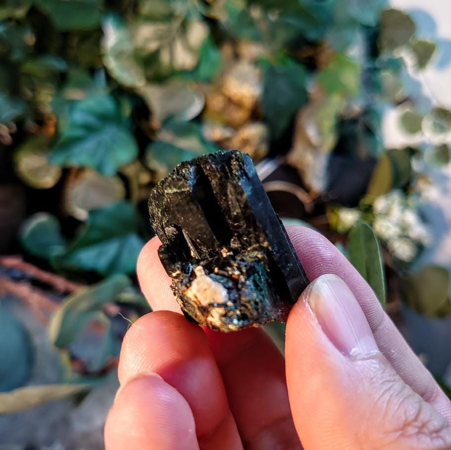1.25" Glossy Black Aegirine Crystal Rod from Malawi, Africa for Crystal Healing / 30.47g / Home & Altar Decor