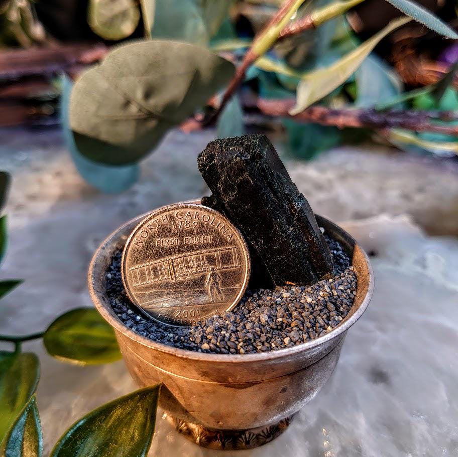 1.25" Glossy Black Aegirine Crystal Rod from Malawi, Africa for Crystal Healing / 30.47g / Home & Altar Decor