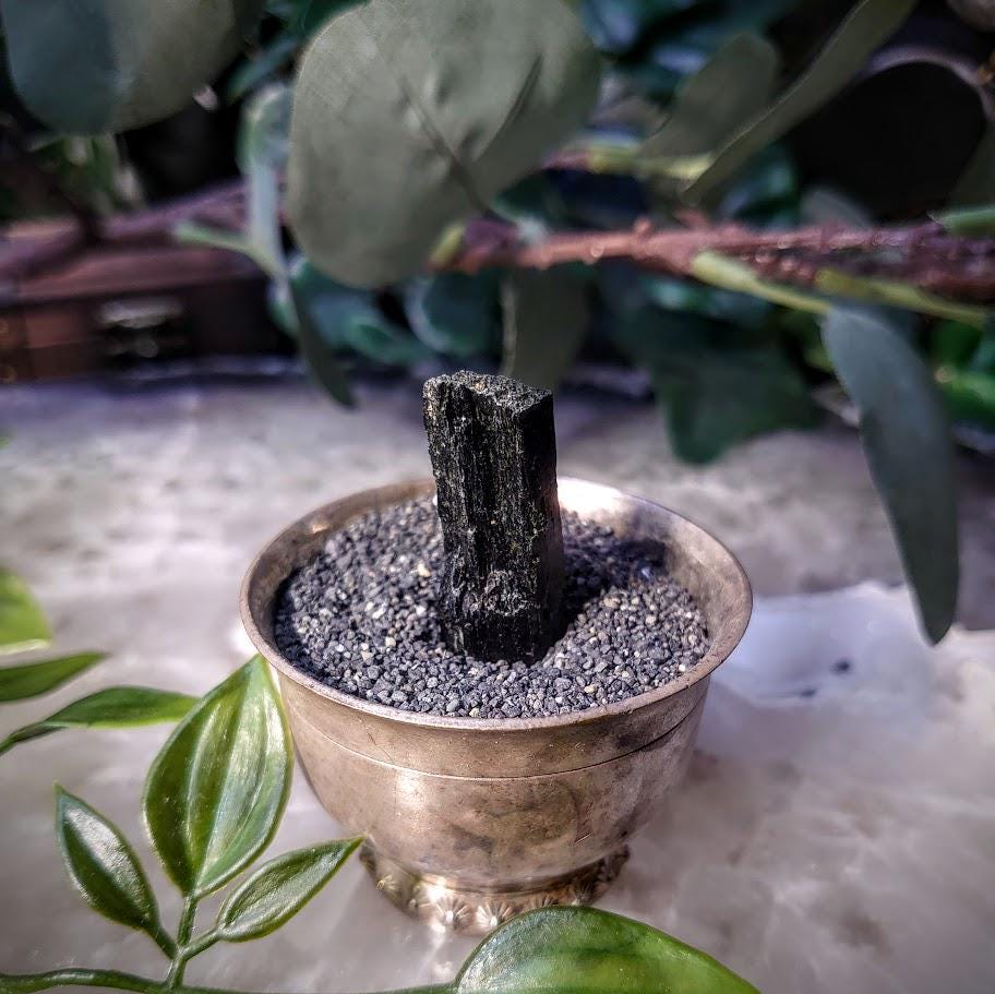 1.25" Glossy Black Aegirine Crystal Rod from Malawi, Africa for Crystal Healing / 6.64g / Home & Altar Decor