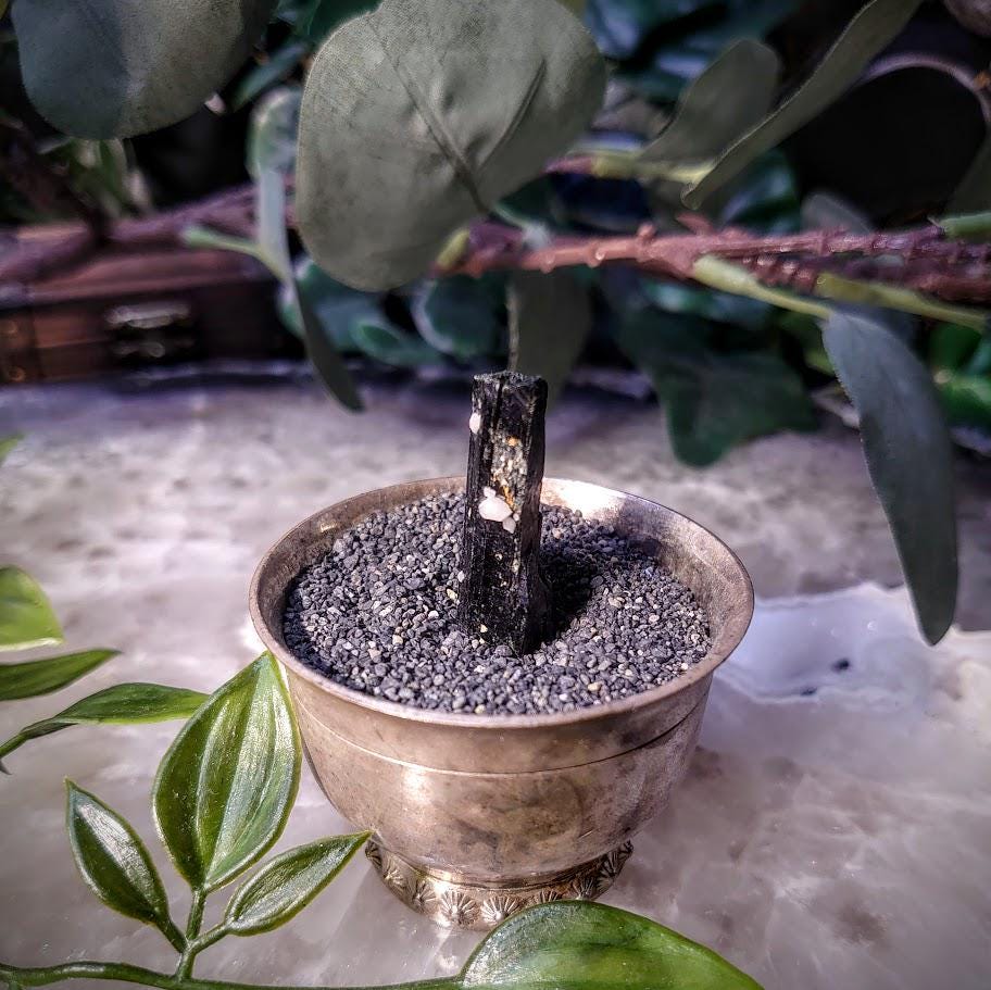 1.25" Glossy Black Aegirine Crystal Rod from Malawi, Africa for Crystal Healing / 6.64g / Home & Altar Decor