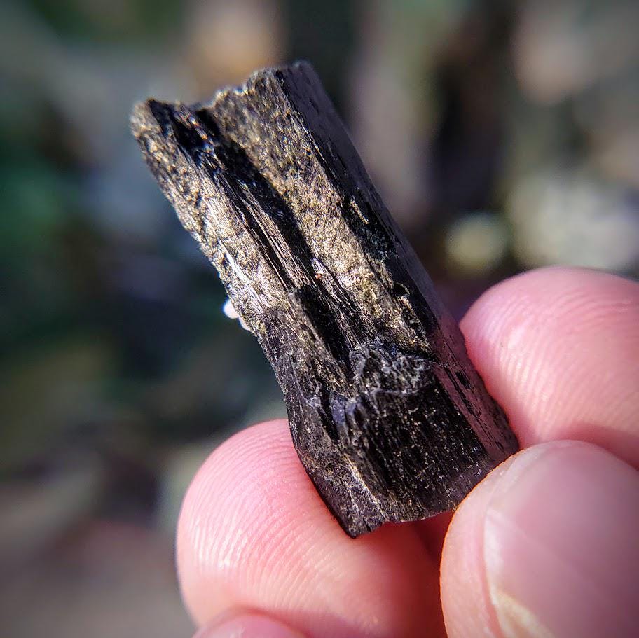1.25" Glossy Black Aegirine Crystal Rod from Malawi, Africa for Crystal Healing / 6.64g / Home & Altar Decor