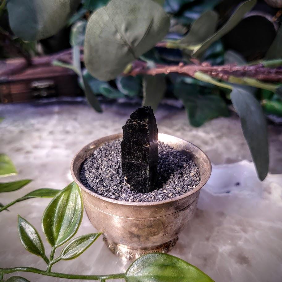 1.5" Glossy Black Aegirine Crystal from Malawi, Africa for Crystal Healing / 9.46g / Home & Altar Decor