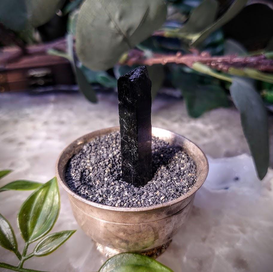 1.75" Glossy Black Aegirine Crystal Rod from Malawi, Africa for Crystal Healing / 9.35g / Home & Altar Decor