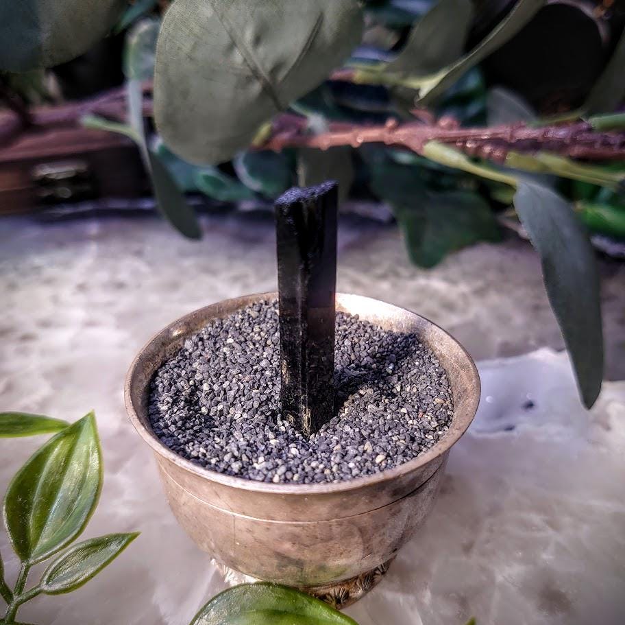 1.75" Glossy Black Aegirine Crystal Rod from Malawi, Africa for Crystal Healing / 4.14g / Home & Altar Decor
