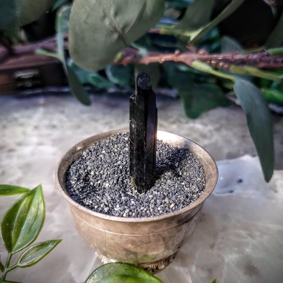 1.75" Glossy Black Aegirine Crystal Rod from Malawi, Africa for Crystal Healing / 4.14g / Home & Altar Decor