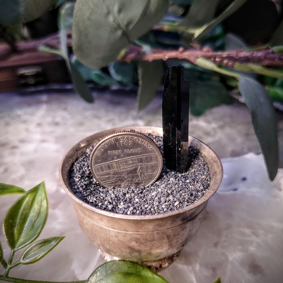 1.75" Glossy Black Aegirine Crystal Rod from Malawi, Africa for Crystal Healing / 4.14g / Home & Altar Decor