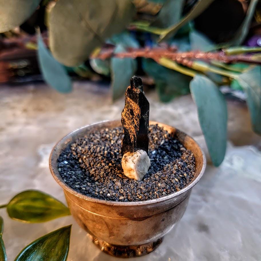 1.5" Glossy Black Aegirine Crystal from Malawi, Africa for Crystal Healing / 5.58g / Home & Altar Decor