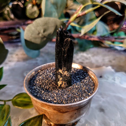 2" Glossy Black Aegirine Crystal Rod from Malawi, Africa for Crystal Healing / 9.13g / Home and Altar Decor / Negative Protection