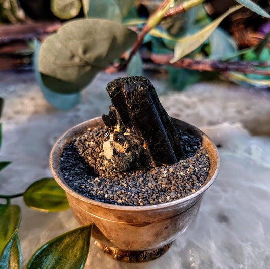 1.25" Glossy Black Aegirine Crystal Rod from Malawi, Africa for Crystal Healing / 30.47g / Home & Altar Decor