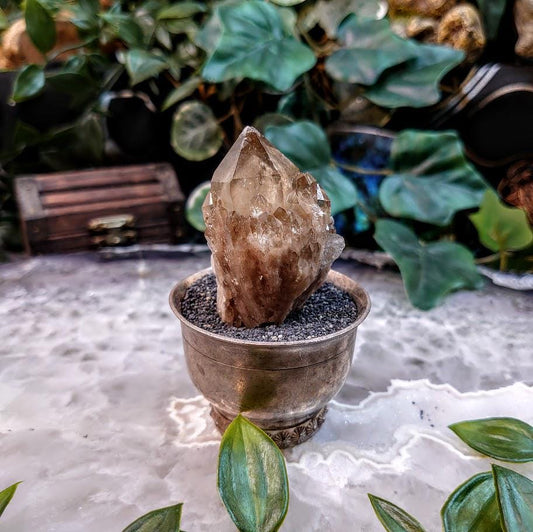 Natural Kundalini Congo Citrine Cluster for Altar and Home Decor / 57.06g / Energy Work / Crystal Healing / Reiki