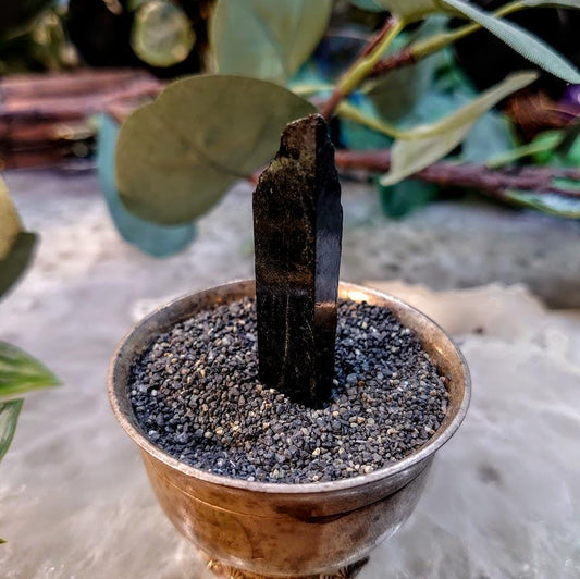 1.875" Glossy Black Aegirine Crystal Rod from Malawi, Africa for Crystal Healing / 9.90g / Home and Altar Decor / Negative Protection