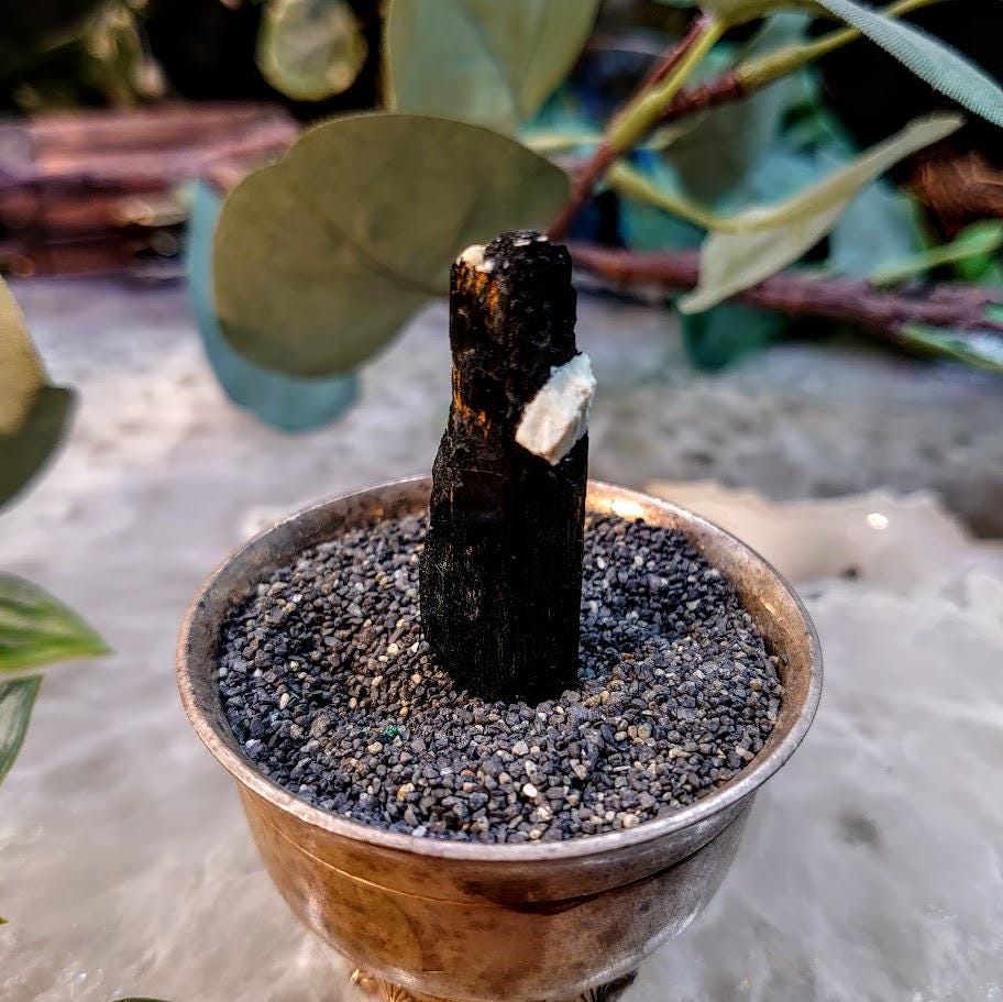 1.75" Glossy Black Aegirine Crystal Rod from Malawi, Africa for Crystal Healing / 8.24g / Home & Altar Decor