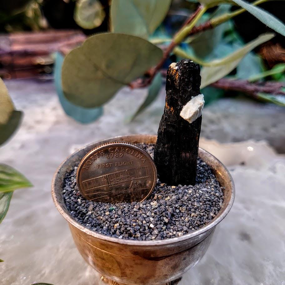 1.75" Glossy Black Aegirine Crystal Rod from Malawi, Africa for Crystal Healing / 8.24g / Home & Altar Decor