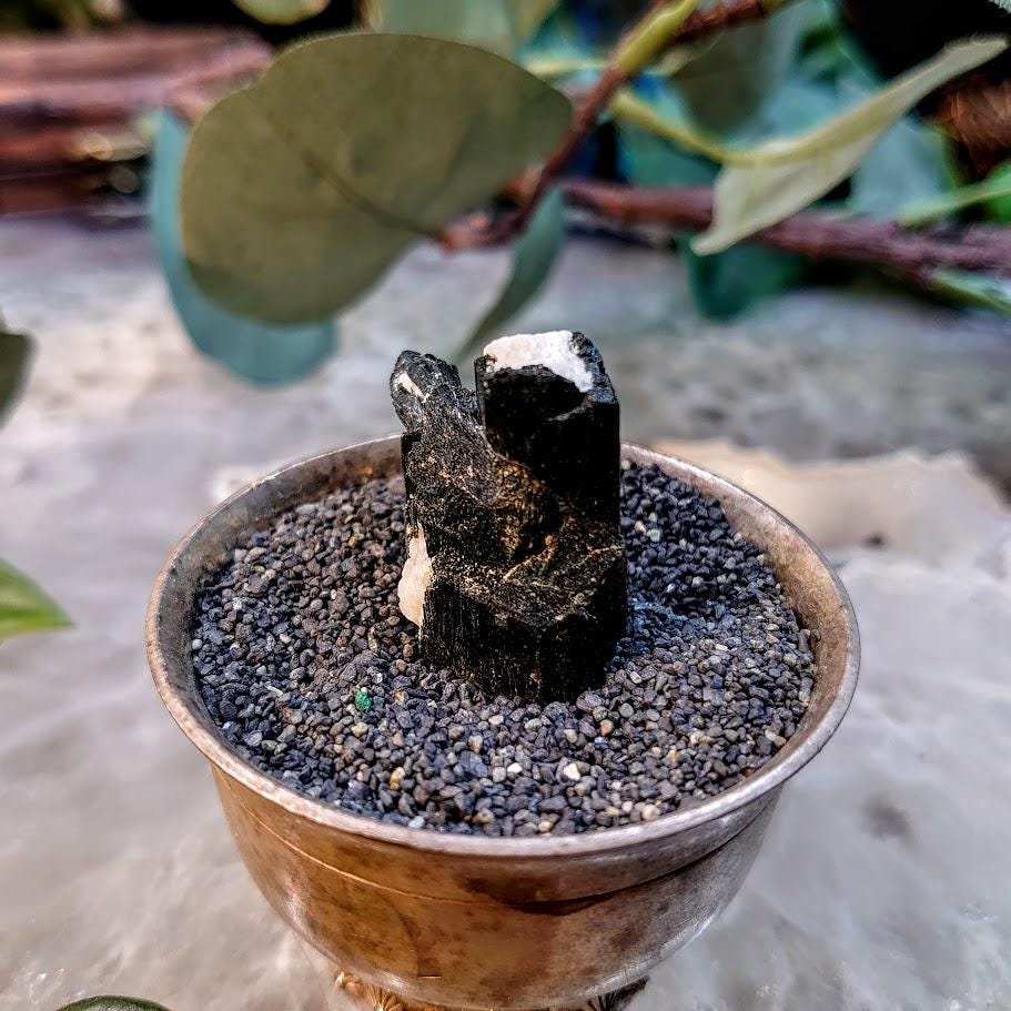 1" Glossy Black Aegirine Crystal from Malawi, Africa for Crystal Healing / 13.00g / Home & Altar Decor
