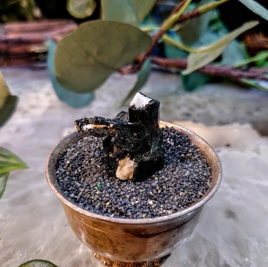 1" Glossy Black Aegirine Crystal from Malawi, Africa for Crystal Healing / 13.00g / Home & Altar Decor