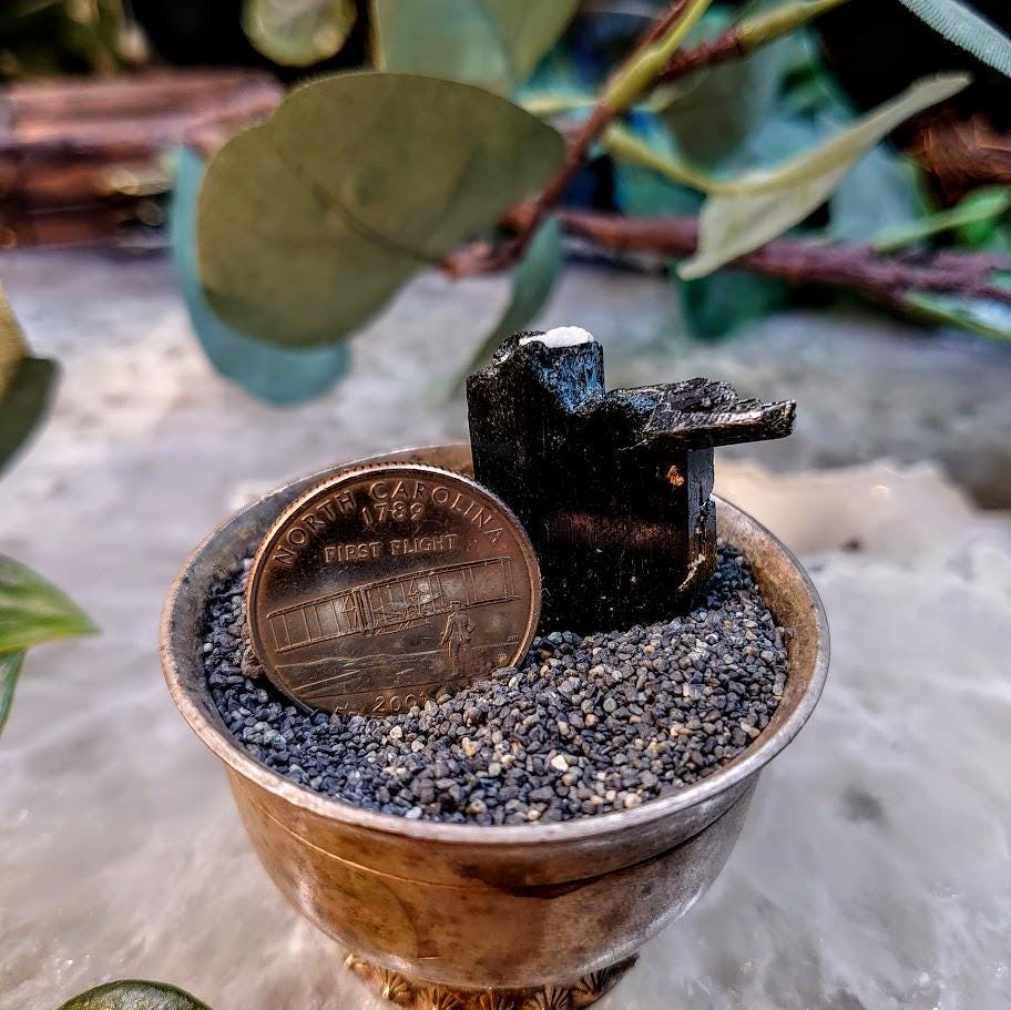 1" Glossy Black Aegirine Crystal from Malawi, Africa for Crystal Healing / 13.00g / Home & Altar Decor