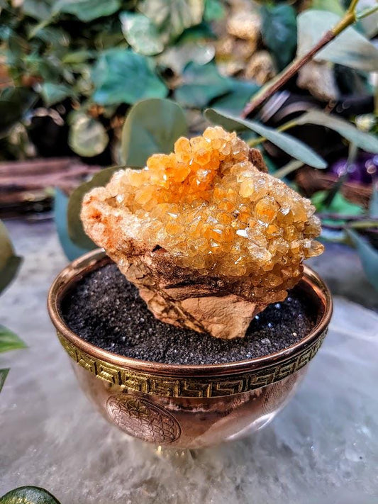 Natural Limonite Golden Healer Quartz/Citrine Cluster on Limestone from Zambia, Africa for Crystal Healing / 106.61g / Reiki / Home Decor