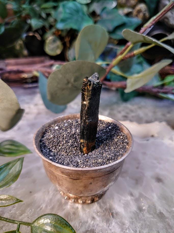 1.75" Glossy Black Aegirine Crystal Rod from Malawi, Africa for Crystal Healing / 10.00g / Home & Altar Decor