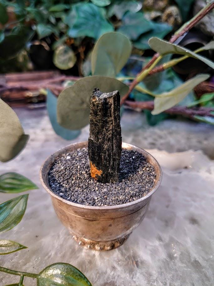 1.75" Glossy Black Aegirine Crystal Rod from Malawi, Africa for Crystal Healing / 10.00g / Home & Altar Decor